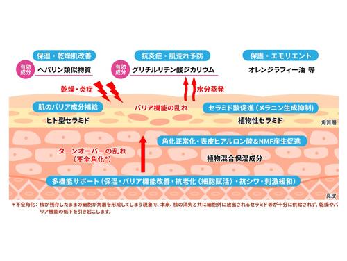 【アンチエイジング 特集】 〈注目OEM企業〉ホシケミカルズ 「アンチエイジングに役立つ化粧品」のODM提案を強化